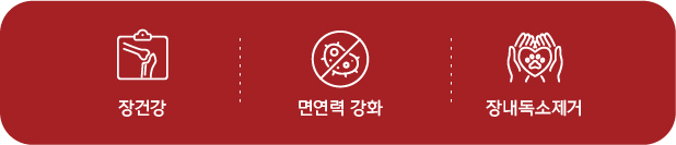 효과